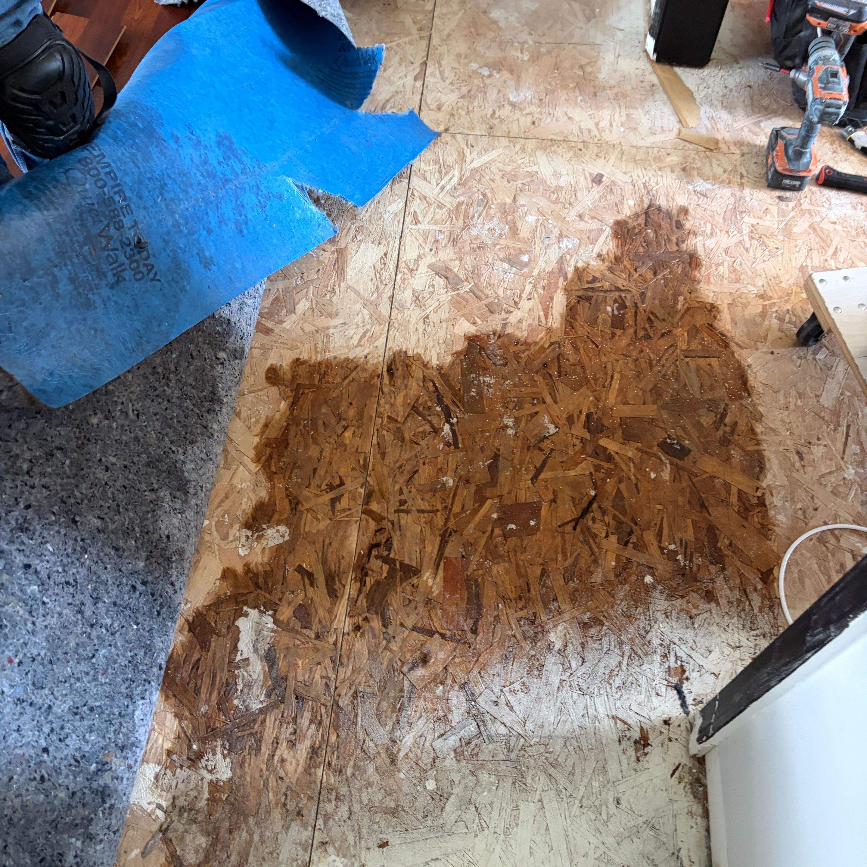 AC Leak Water Damage in Clay City: Condensate Line Fix